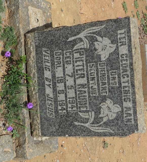 NAUDE Pieter 1941-1941