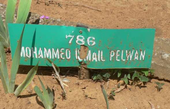 PELWAN Mohammed Ismail