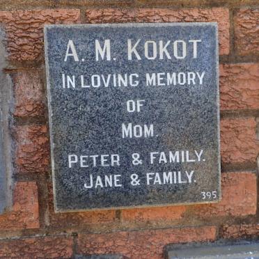 KOKOT A.M.