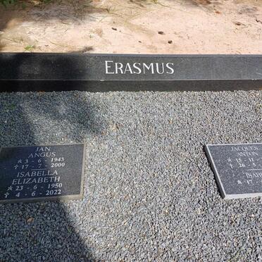ERASMUS familiegraf