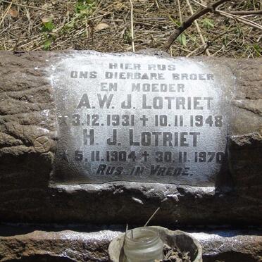LOTRIET H.J. 1904-1970 :: LOTRIET A.W. J. 1931-1948