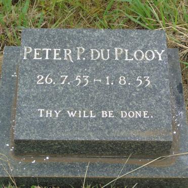PLOOY Peter P., du 1953-1953