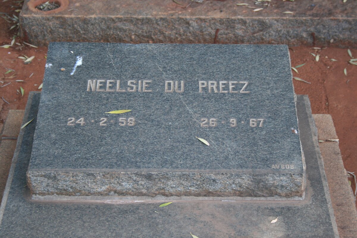 PREEZ Neelsie, du 1958-1967