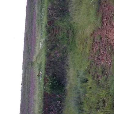 1. Overview / Oorsig