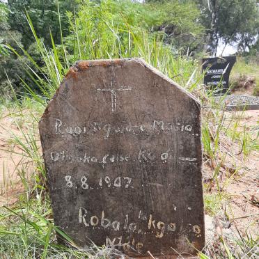 MASIA Rooi Ngware -1947