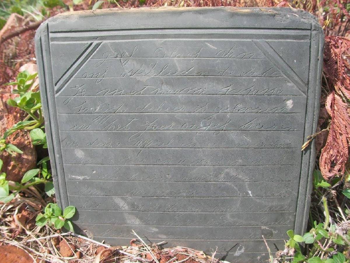 BEER Susana S., de 1880-1884