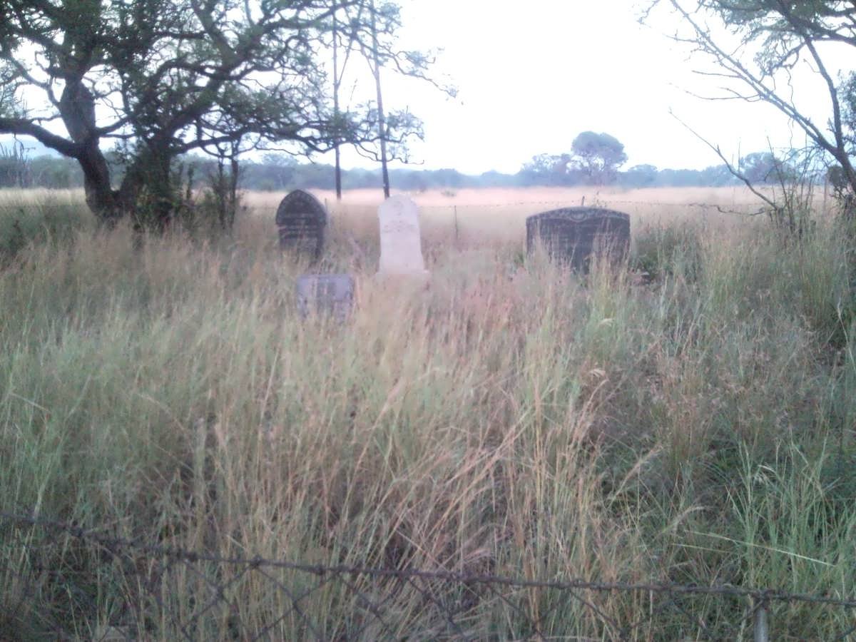 2. Overview / Oorsig