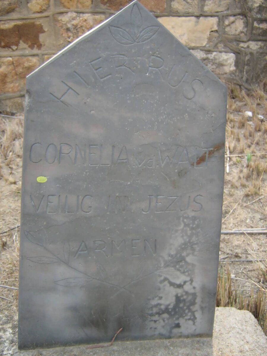 WALT Cornelia, van der
