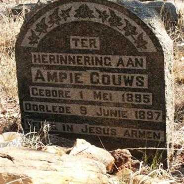 GOUWS Ampie 1895-1897