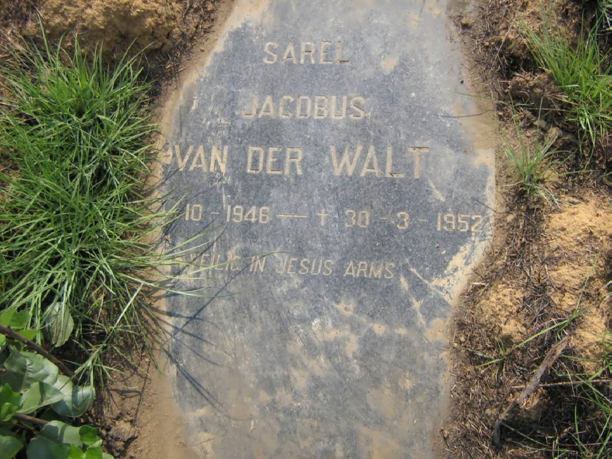 WALT Sarel Jacobus, van der 1946-1952