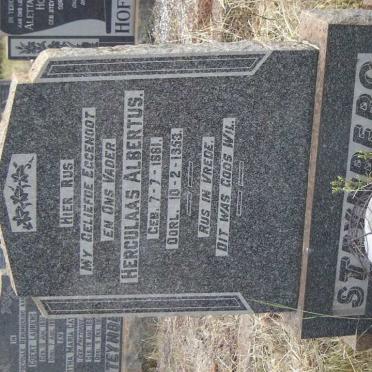 STEYNBERG Herculaas Albertus 1881-1953