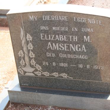 AMSENGA Elizabeth M. nee GOLDSCHAGG 190-1973