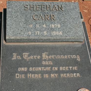 CARR Sheehan 1979-1984