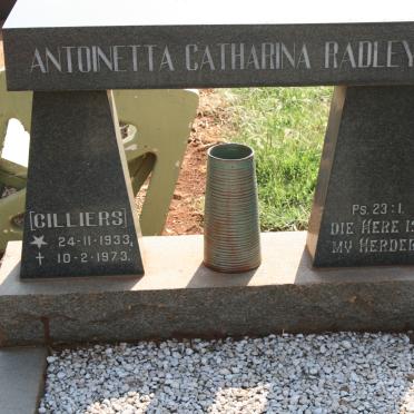 RADLEY Antoinetta Catharina nee CILLIERS 1933-1973