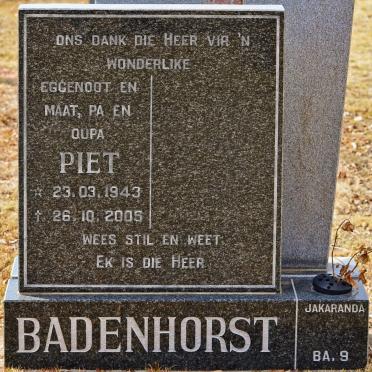 BADENHORST Piet 1943-2005