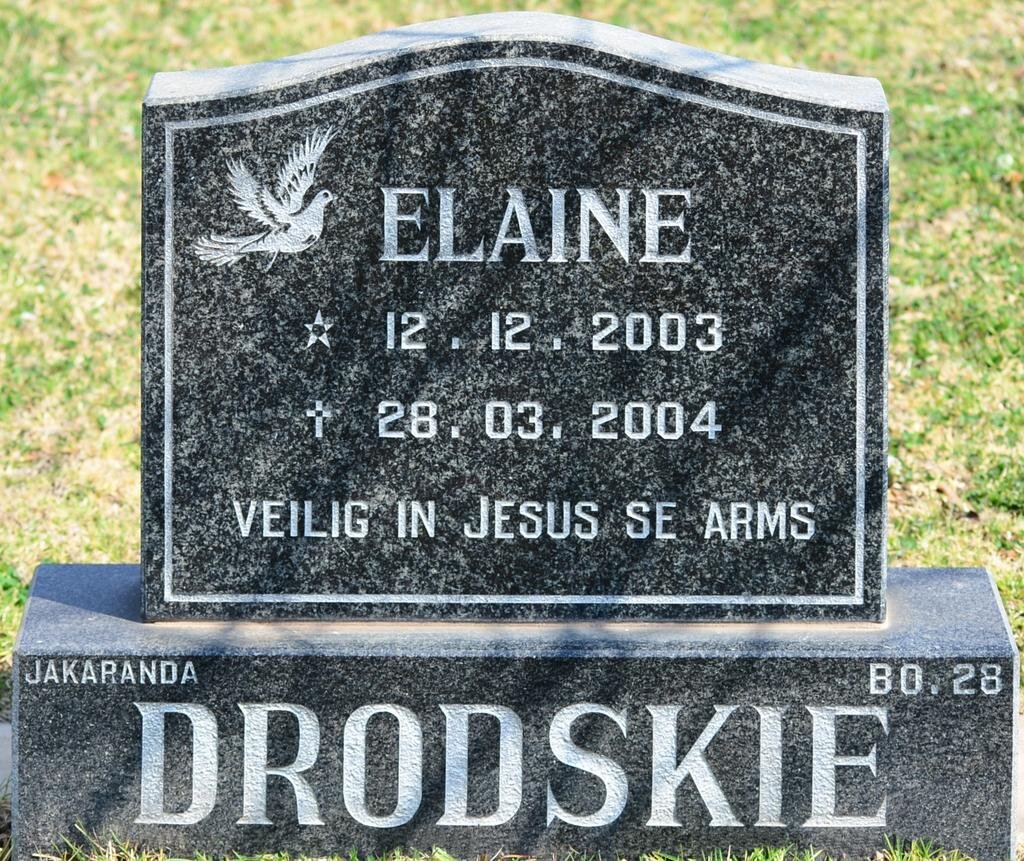 DRODSKIE Elaine 2003-2004