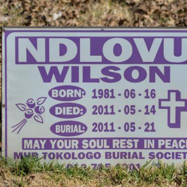 NDLOVU Wilson 1981-2011