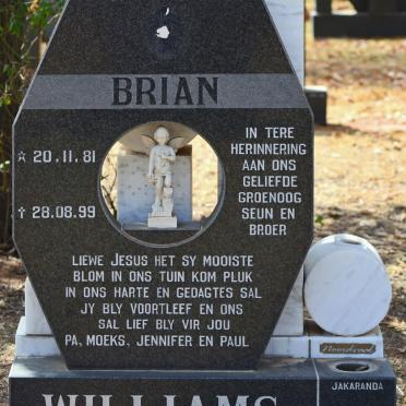 WILLIAMS Brian 1981-1999