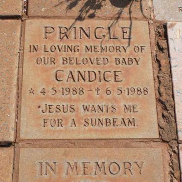 PRINGLE Candice 1988-1988