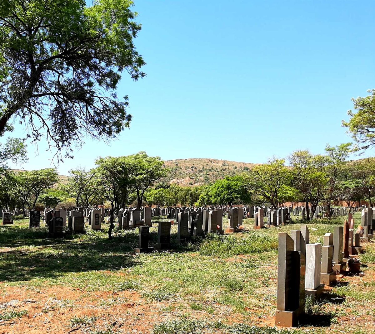 3. Overview / Oorsig