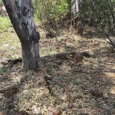 Gauteng, PRETORIA, Pretoria Townlands, Pierre van Ryneveld Street, small cemetery