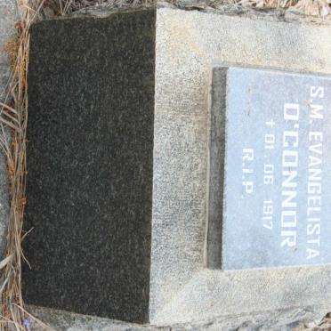 O’CONNOR Evangelista -1917