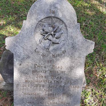 READ Emma -1895 :: READ William Lumley