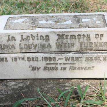 TURNER Una Louvima Weir 1908-1909