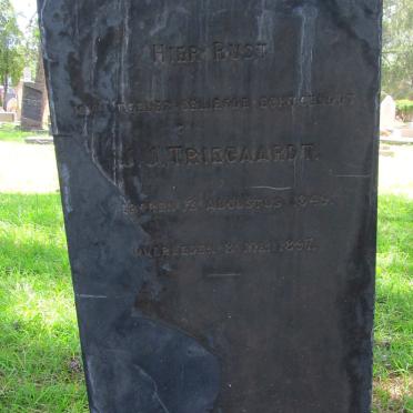 TRIEGAARDT J.J. 1849-1897
