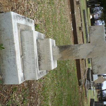 WILKINS William James 1876-1903