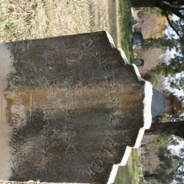 WALKER Dessie Erasmus 1882-1894