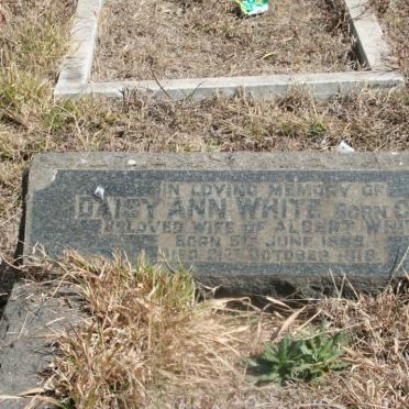 WHITE Daisy Ann nee CLARK 1888-1918