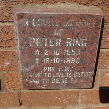 RING Peter 1953-1990