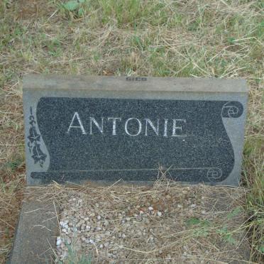 ? Antonie