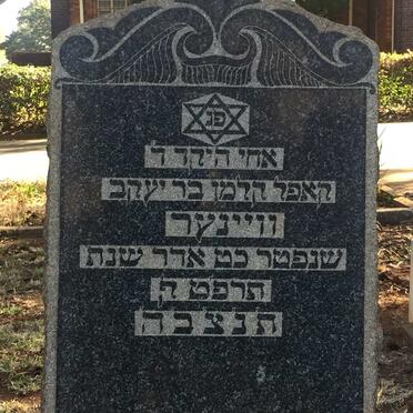 WIENER Koppel Kalman -5689