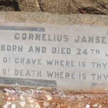 BALT Cornelius Janse 1941-1941