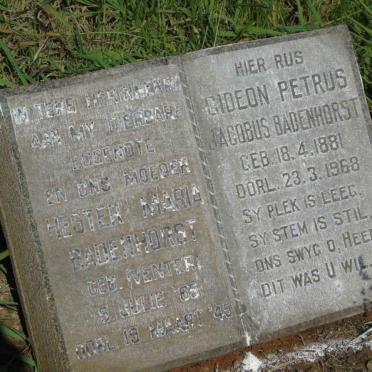 BADENHORST Gideon Petrus Jacobus 1881-1968 &amp; Hester Maria VENTER 1885-1945