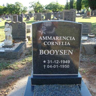 BOOYSEN Ammarencia Cornelia 1949-1950