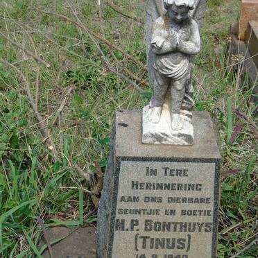 BONTHUYS M.P. 1940-1943