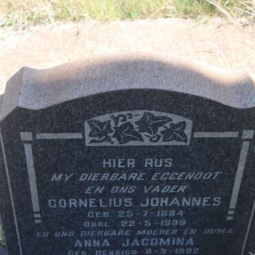 BORNMAN Cornelius Johannes 1884-1939 & Anna Jacomina HENRICO 1892-1972