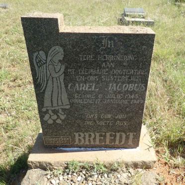 BREEDT Carel Jacobus 1948-1949