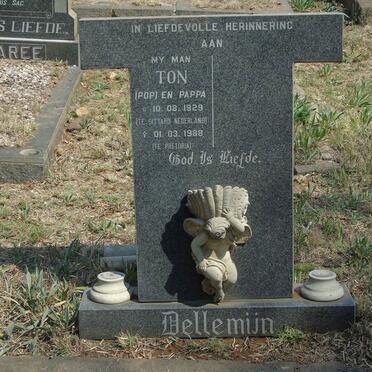 DELLEMIJN Ton 1929-1988