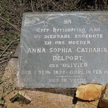 DELPORT Anna Sophia Catharina nee OLIVIER 1877-1949