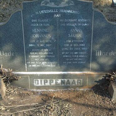 DIPPENAAR Henning Johannes 1878-1957 & Anna Maria STRYDOM 1882-1955