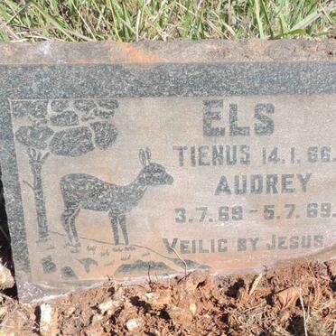 ELS Tienus -1966 :: ELS Audrey 1969-1969