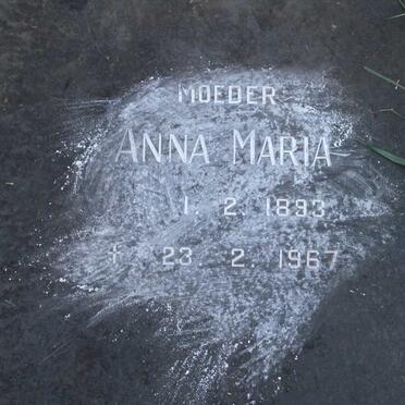 KLASHORST Gerrit Hendrik, van der 1886-1958 & Anna Maria 1893-1967 :: WESSELS Willem Johannes 1910-1975 & Johanna Fredrika 1910- :: WESSELS Johannes Hermanus 1931-1947_3