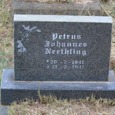 NEETHLING Petrus Johannes 1947-1947