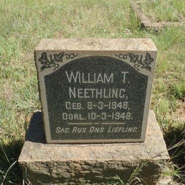 NEETHLING William T. 1948-1948