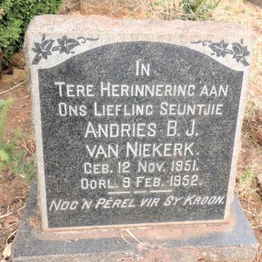 NIEKERK Andries B.J., van 1951-1952