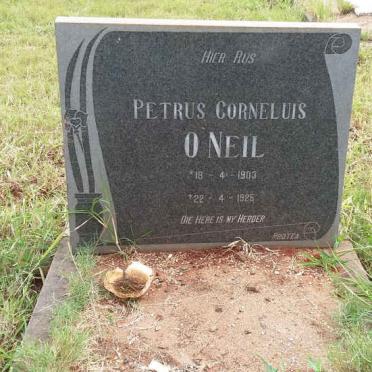 O'NEIL Petrus Corneluis 1903-1925